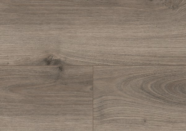 Royal Chestnut Grey.jpg